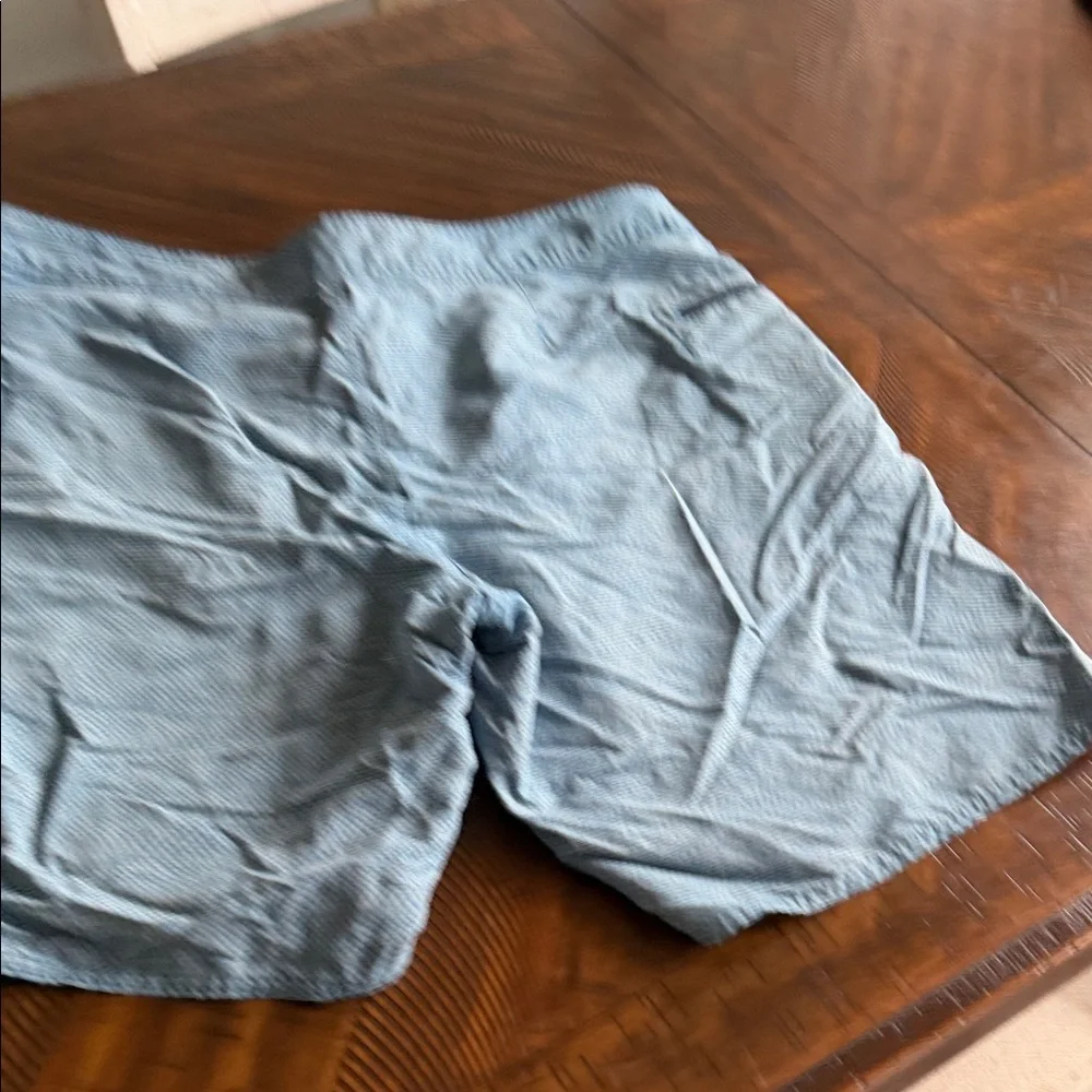 Patagonia Blue Patterned Shorts